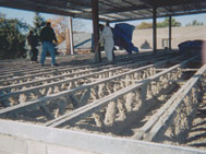 Spray Fire Proofing