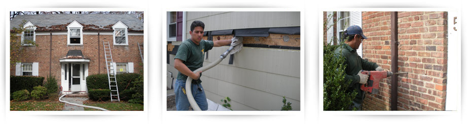 Wall Insulation